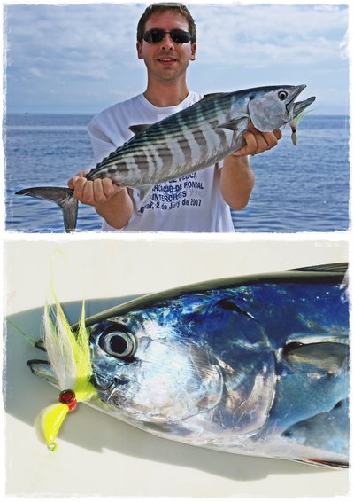 Minnow 28 & Banana 42 gr.  