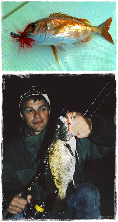 Banana 28 gr. y Calamara Diablo 28 gr.