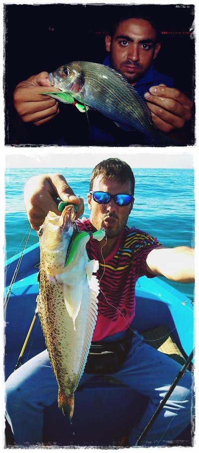 Banana 14 gr. y Banana 21 gr.